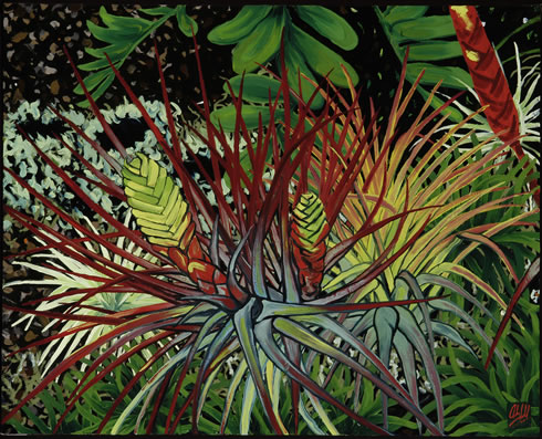 Bromeliad