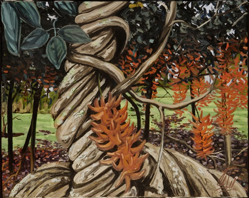Coral Tree