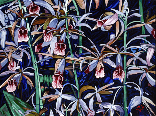 Purple Orchids
