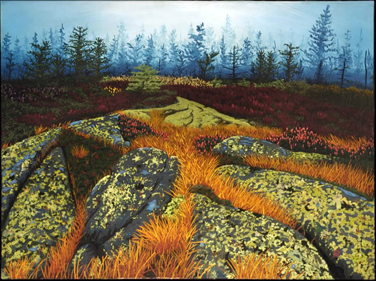 Rocks