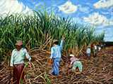 Sugar Cane Workers III