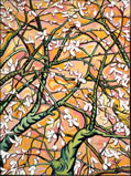 Almond Branches