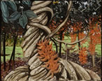 Coral Tree