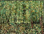 Olinda Forest