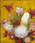 Proteas