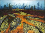 Rocks